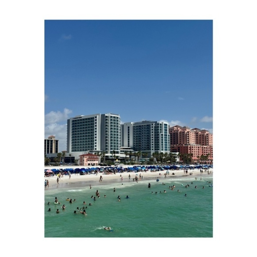 Artist Photography Print